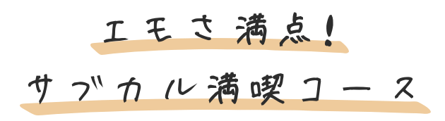 エモさ満点！サブカル満喫コース