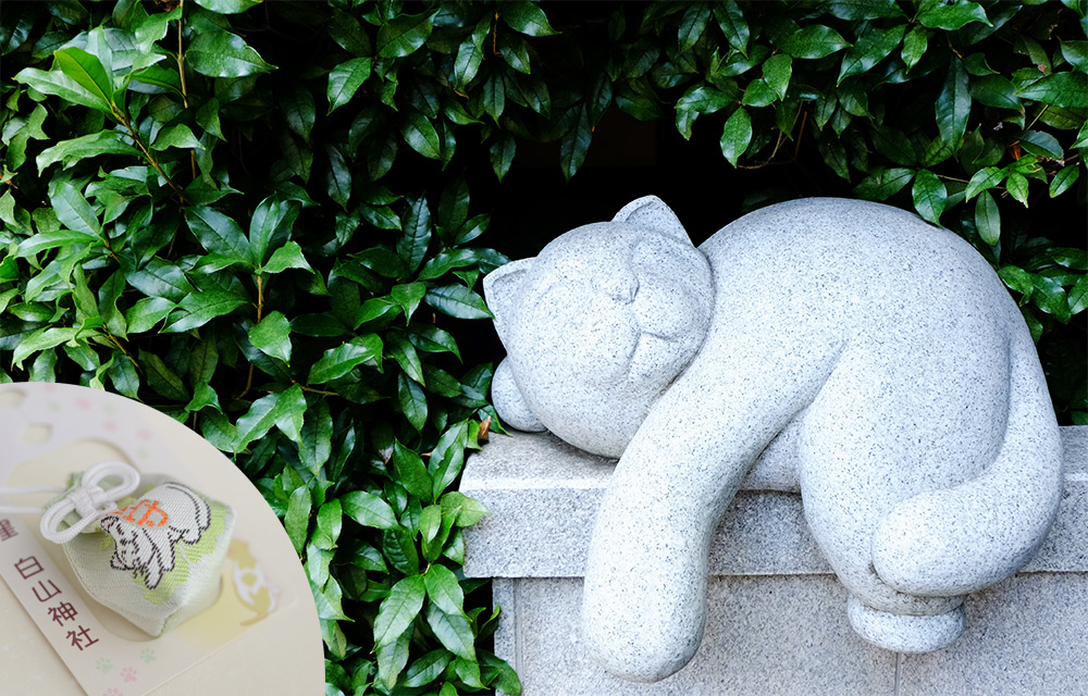 「和み猫の像」と猫の刺繍が施された「和み守」（700円）。のんびりと心穏やかに日々暮らせるように祈願されています