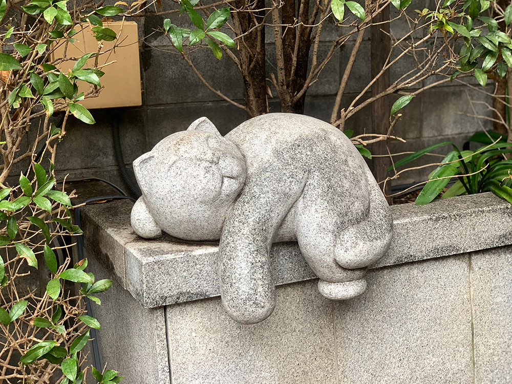 境内にはいたるところに猫の像があります。東日本大震災前の旧社務所の屋根にはかつて十二支が置かれていたそうですが、｢十二支には猫がいないので可哀想｣ということで猫の石像を多く置くことにしたそうです。猫好きの神職さんの遊び心が溢れています。
