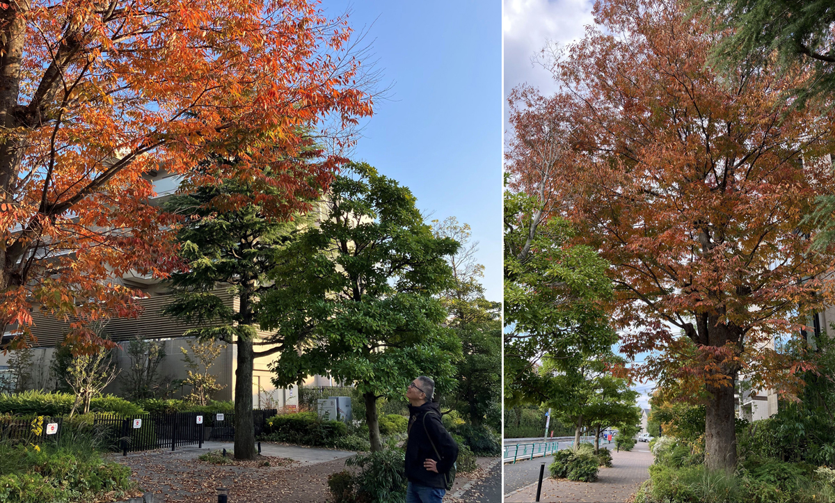 大地丙太郎さんと昭和の思い出散歩