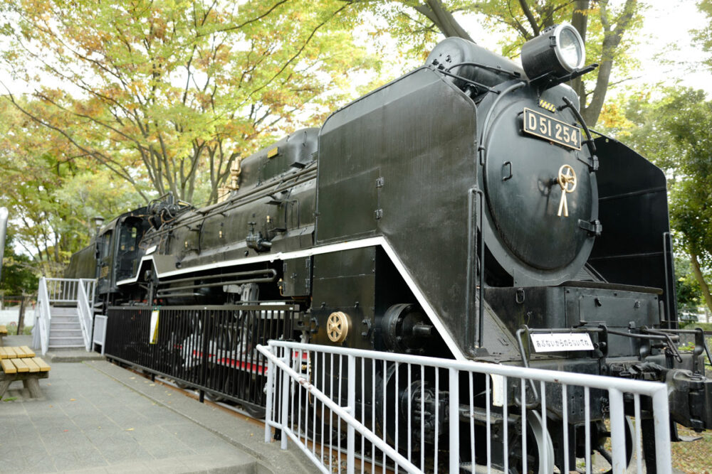 蒸気機関車D51-254