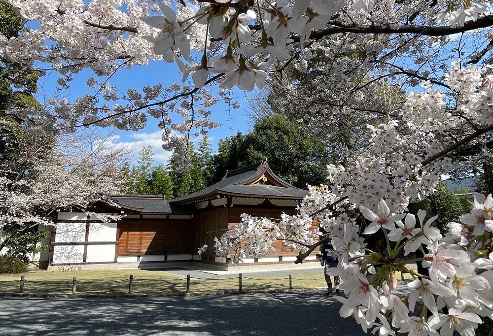 阿佐ヶ谷神明宮