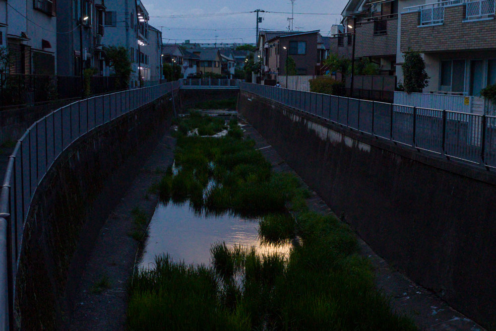 善福寺川駅通橋付近